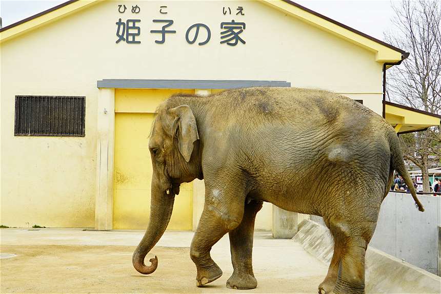 姫路 動物園